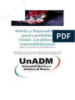 Módulo 12 Responsabilidad Penal y Punibilidad Unidad 1 Los Delitos y La Responsabilidad Penal