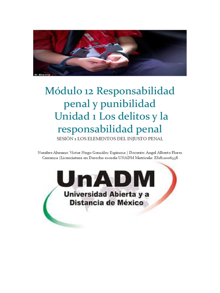 Módulo 12 Responsabilidad Penal y Punibilidad Unidad 1 Los Delitos y La ...