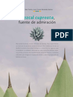 Mezcal PDF