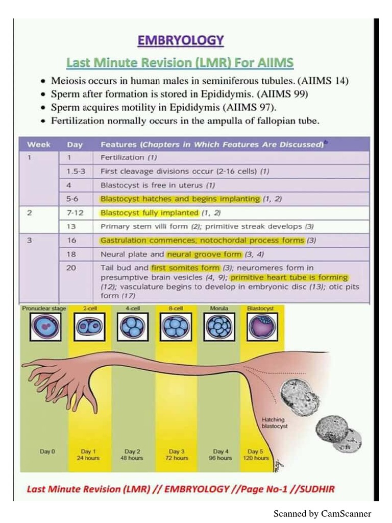 Embryology Revision | PDF