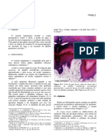 11Tegumen (1).pdf