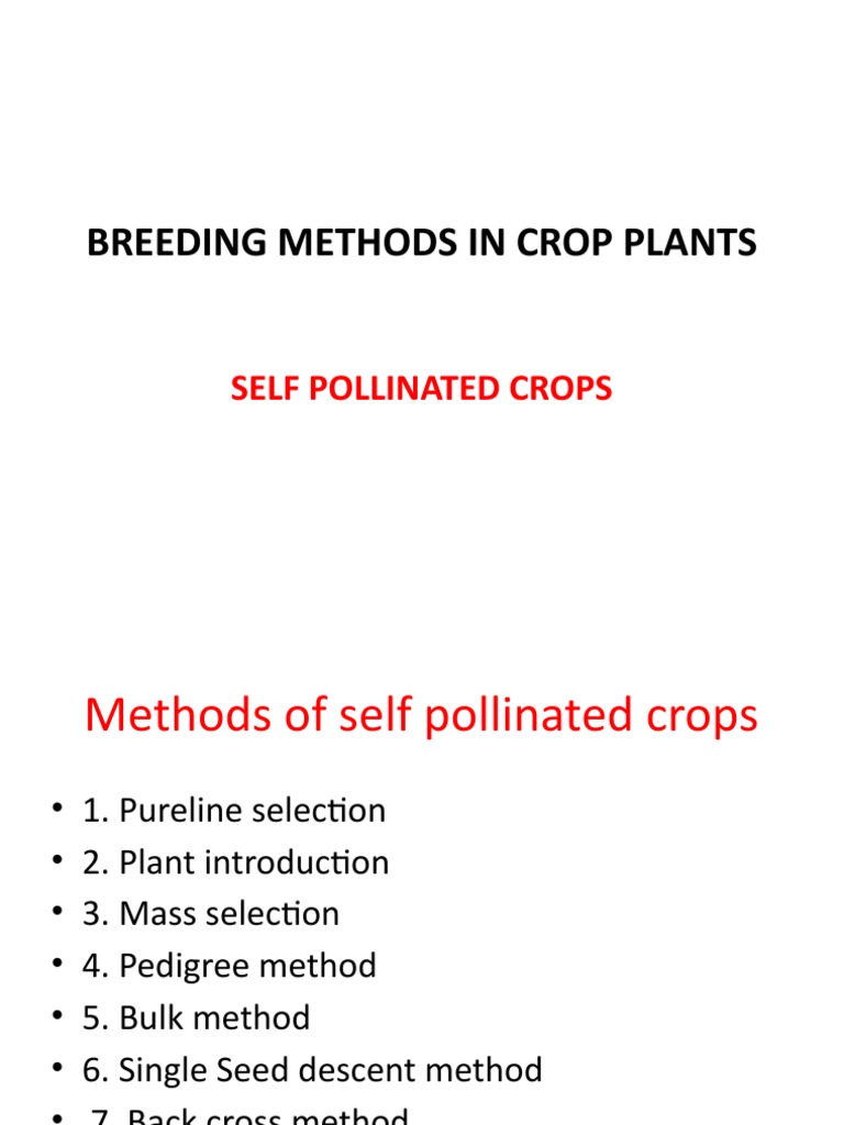 bulk breeding method