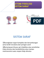 Anatomi Fisiologi Sistem Neuro