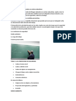 cursos2.pdf