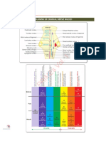 Anatomy2 HY PRIMEs PDF