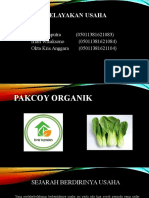Pakcoy Organik