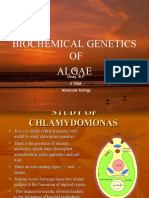 Biochemical Genetics of Algae