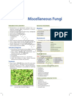 Sample Chapter: Miscellaneous Fungi