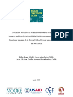 Analisis_Lineas_Base_Hidroproyectos_Loreto_Peru_WCS.pdf