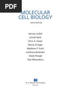 Molecular Cell Biology Lodish Sixth Edition Pdfdrive Pdf Pdf Genetica Science
