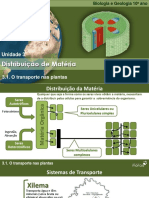 BiologiaTransportesPlantas