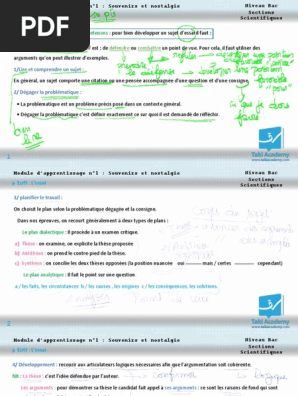 Fiche Dessai Ecrit Corrige Pdf Nostalgie Sentiment