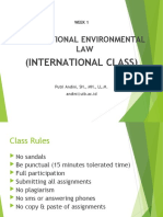 International Environmental LAW