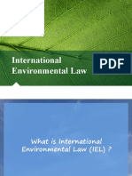 International Environmental Law