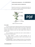 cours racines pdf