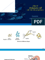 Class 11: Prokaryotic Cell