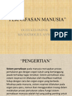 Pernafasan Manusia