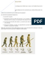 Proceso de Hominización