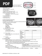 DNA VIRUSES-handout PDF