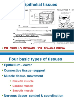 Skin and Epithelial Tissues: Dr. Okello Michael / Dr. Mwaka Erisa