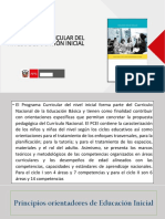 PROGRAMA-CURRICULAR-INICIAL-web.pdf