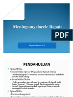 Spina Bifida PDF