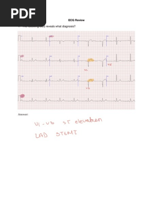 Notability Notes