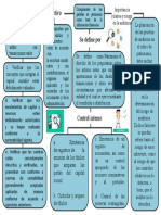 Mapa Conceptual - Jose Castro 26.735.240