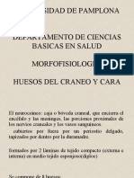 Morfofisiologia de Craneo PDF