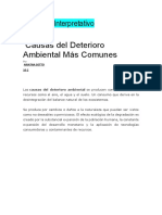 Medio Ambiente PDF