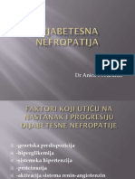 Dijabetesna nefropatija.pdf