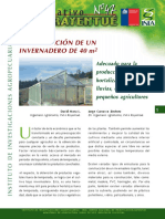 PROCESO DE CONSTRUCCION DE FITOTIOLDOS.pdf