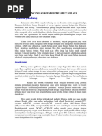 Download MERANCANG AGROINDUSTRI SABUT KELAPA by yuliroch SN48119092 doc pdf