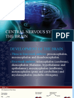 CNS: Anatomy and Functions of the Central Nervous System