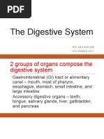 The Digestive System: Jen Aragon, MD November 2015