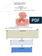 Fișa de Lucru-Sistemul Respirator Și Respirația La Om PDF