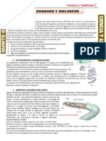 Quinto - 01-10-2020 PDF