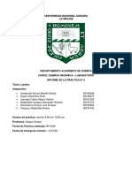 informe de lípidos unalm desarrollado