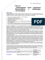 Guías-TP-2019-Segunda-parte. Shift 2 PDF