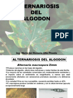 12.1. Alternariosis Del Algodon - Antracnosis