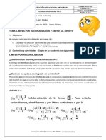 P.3 GUIA 10 LIM - POR RACIONALIZACIÓN Y AL INFINITO - Copia 3 PDF