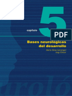 Bases Neurológicas Del Desarrollo - Gorostegui y Förster 2008