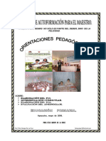 ORIENTACIONES PEDAGOGICAS PRIMARIA.pdf