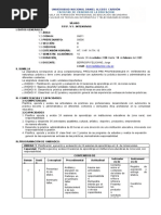 Sílabo -P. P. P. VI _ Intensivas. 2020-B