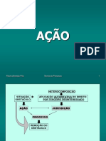 Ação - Flávia Pita - Slides - 2016 PDF