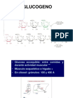 GLUCÓGENO-degradación-Pr