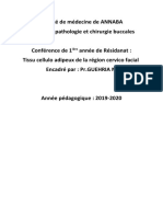 Anatomie de la Région Jugale | PDF | Tête et cou chez l'humain ...