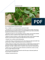 10 Very Beneficial Properties of Purslane For Health