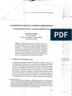 Camacho - Los Principios de Eficacia y Eficiencia PDF