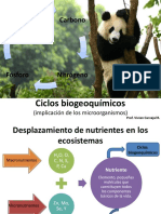 Tema 8 Ciclos Biogeoquímicos